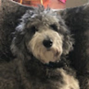 Meet your Posher, Denise